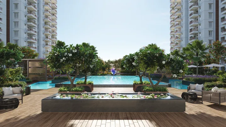 Pool deck at Poulomi Florique
